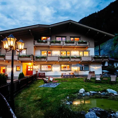 Pinetree مايرهوفن