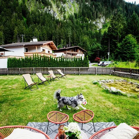 Bed & Breakfast Pinetree *