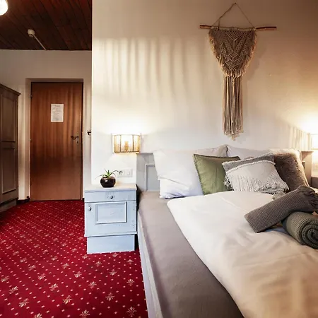 Pinetree 3* Mayrhofen