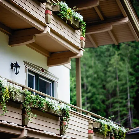 فندق مبيت وإفطار Pinetree 3*