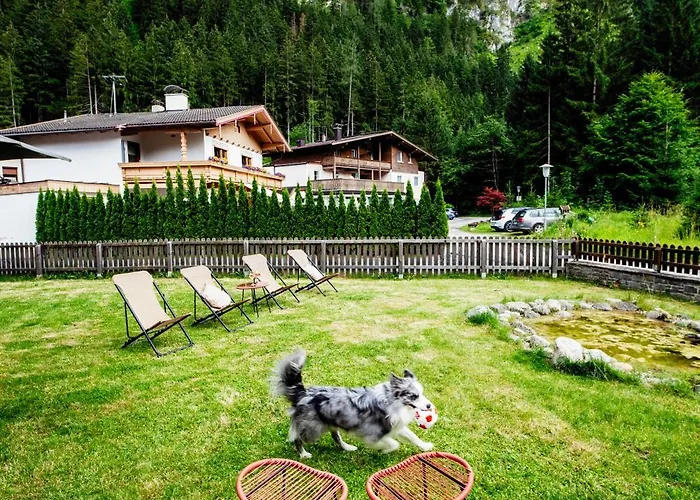 Oda ve Kahvaltı Pinetree 3*