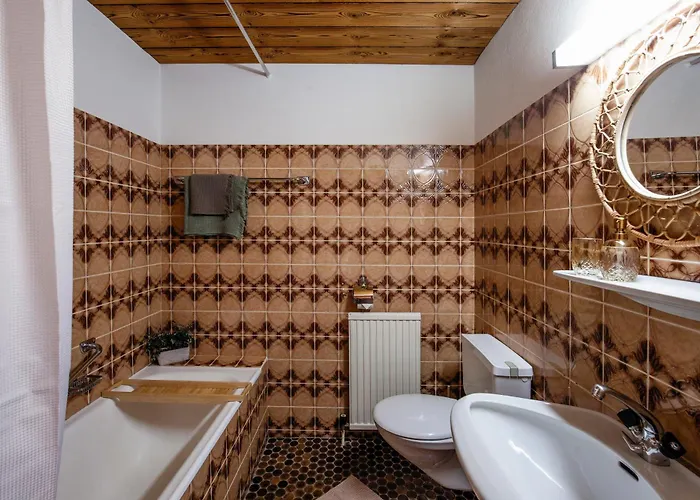 Pinetree مايرهوفن