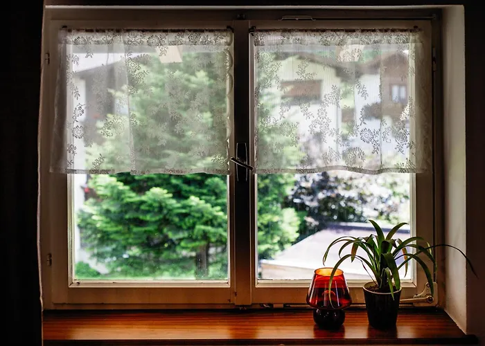 Pinetree Bed and breakfast