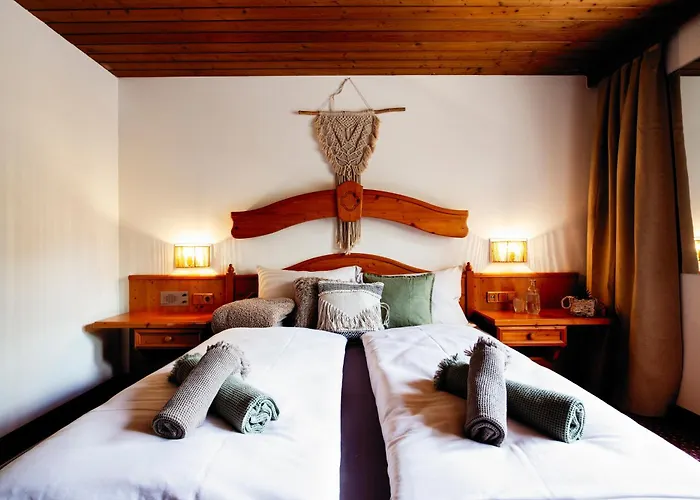 Pinetree مايرهوفن