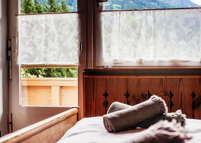 Pinetree مايرهوفن