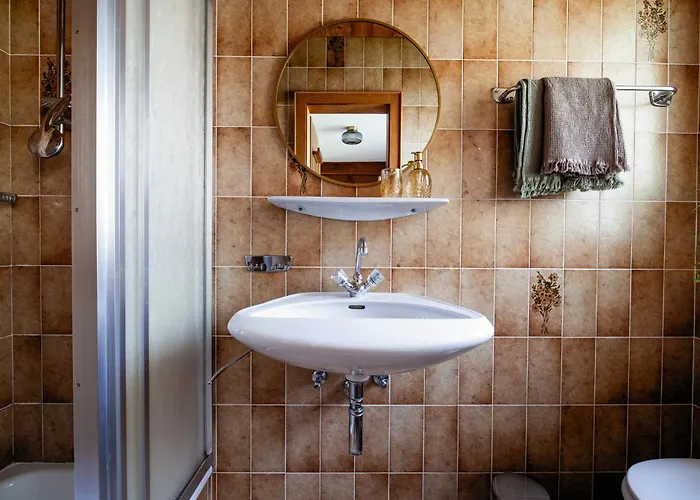 Pinetree مايرهوفن